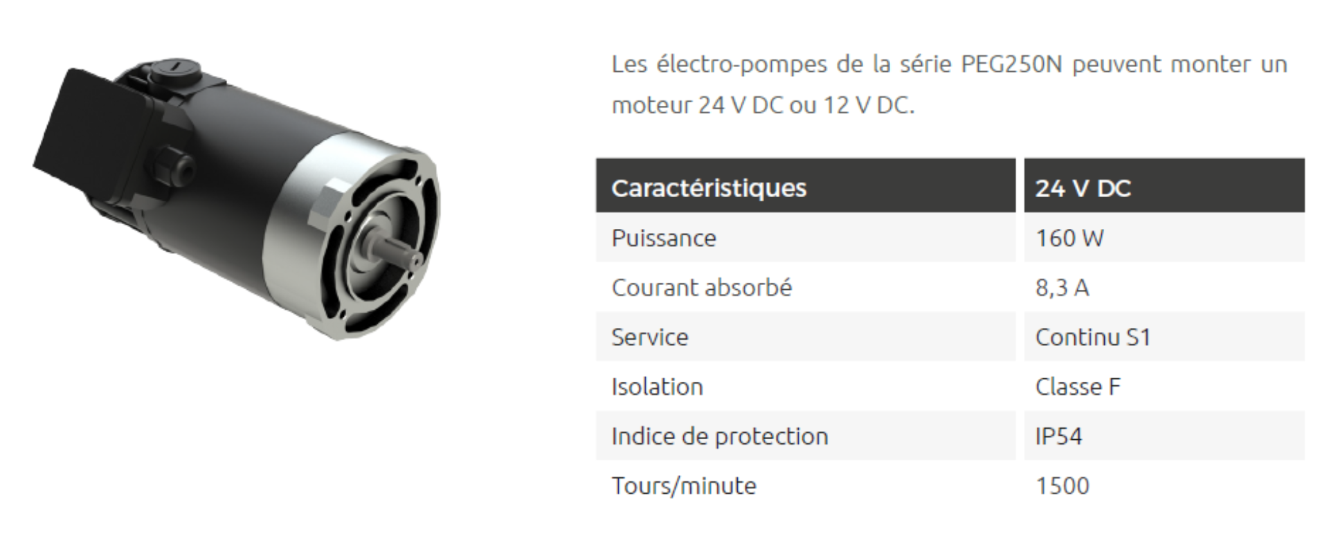 Info motor PEG 250 N 24 VDC FR